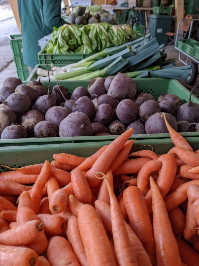 Solawi Landlmuehle Abholung der Erntekiste