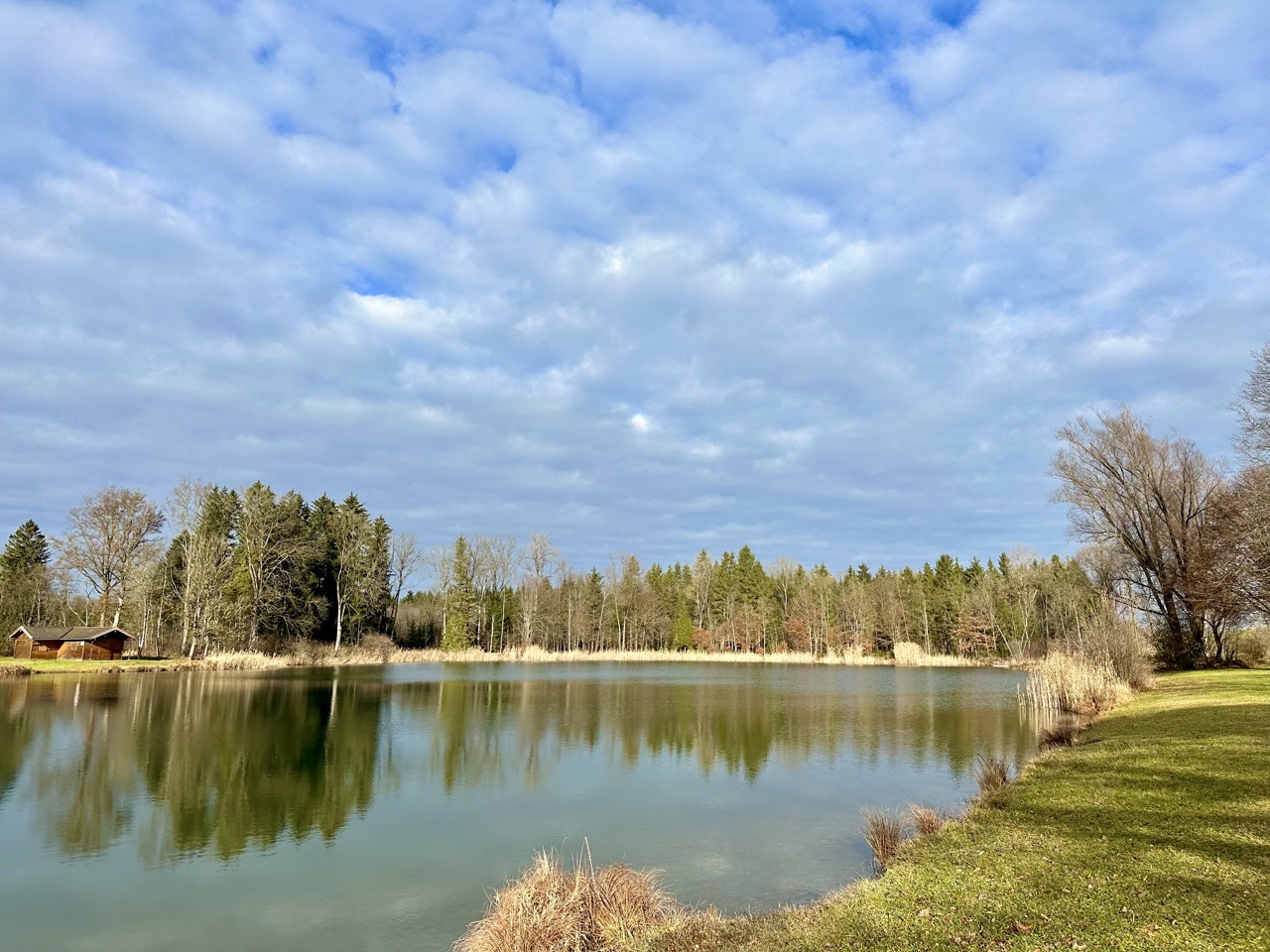 Waldsee Rosenheim Herbststimmung