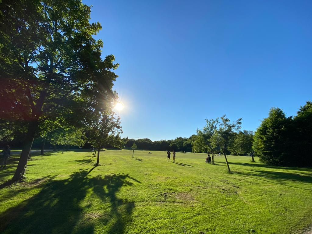 Yoga im Sommer mit Sonne und grüner Wiese